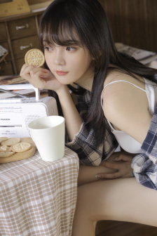 掩护电视剧